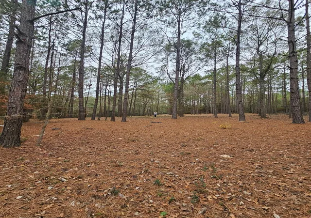 3rd image of 263 Wishing Trl, Livingston, TX 77351 | MLS# 95175078