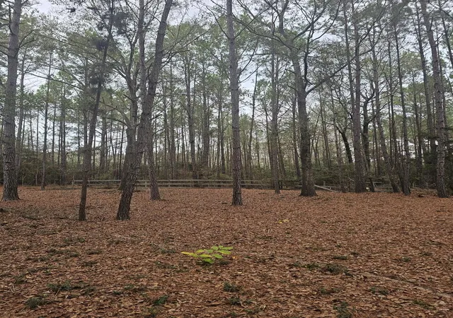 4th image of 263 Wishing Trl, Livingston, TX 77351 | MLS# 95175078