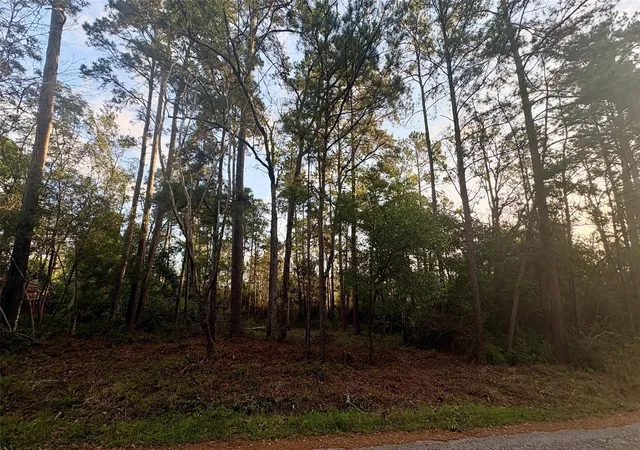 Homes for sale in Ivanhoe, TX | Lot 17,18 Chanticleer Dr, Ivanhoe, TX 75979 | MLS# 52734987