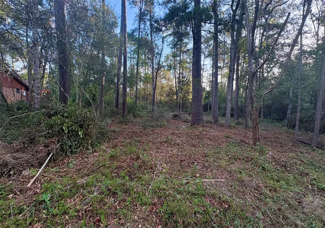 Homes for sale in Ivanhoe, TX | Lot 17,18 Chanticleer Dr, Ivanhoe, TX 75979 | MLS# 52734987