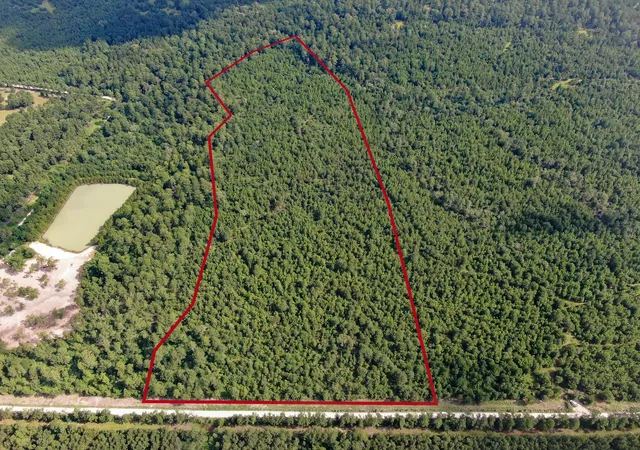Land for sale at 0 Scales Ranch Rd, Huntsville, TX 77320 | MLS# 21083214
