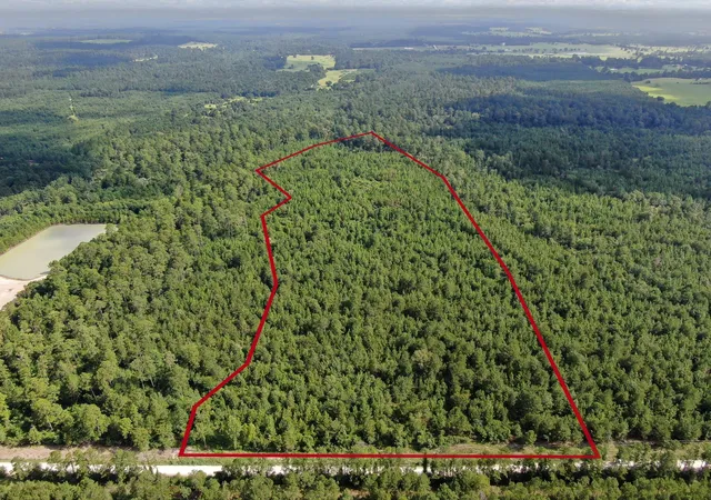 Photo 2 of Land for sale at 0 Scales Ranch Rd, Huntsville, TX 77320 | MLS# 21083214 | Listing updated on 2026-06-29