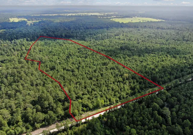 Photo 3 of Land for sale at 0 Scales Ranch Rd, Huntsville, TX 77320 | MLS# 21083214 | Listing updated on 2026-09-18