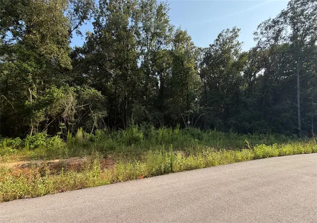 1st image of 217 Kings Ct, Dayton, TX 77535 | MLS# 38983181