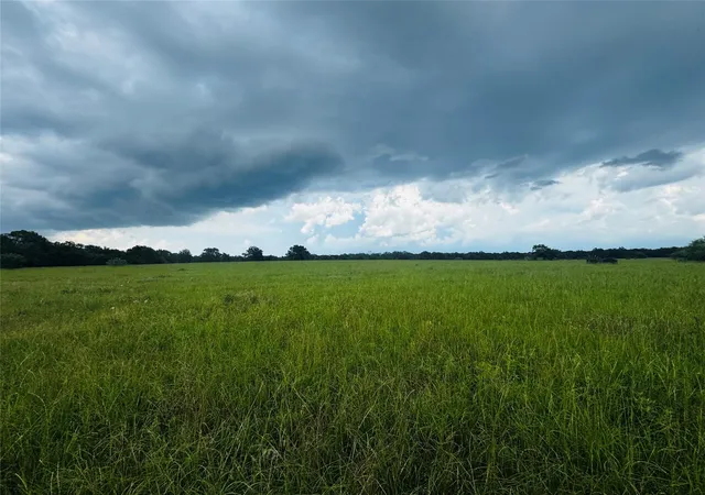 Homes for sale in Bedias, TX | 19046 County Road 124, Bedias, TX 77831 | MLS# 12281345