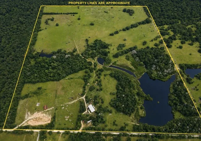 Homes for sale in Bedias, TX | 19046 County Road 124, Bedias, TX 77831 | MLS# 12281345
