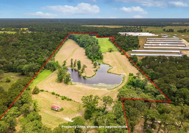 Photo 3 of Land for sale at 5740 Highway 103 E, Lufkin, TX 75901 | MLS# 77981447 | Listing updated on 2026-08-06
