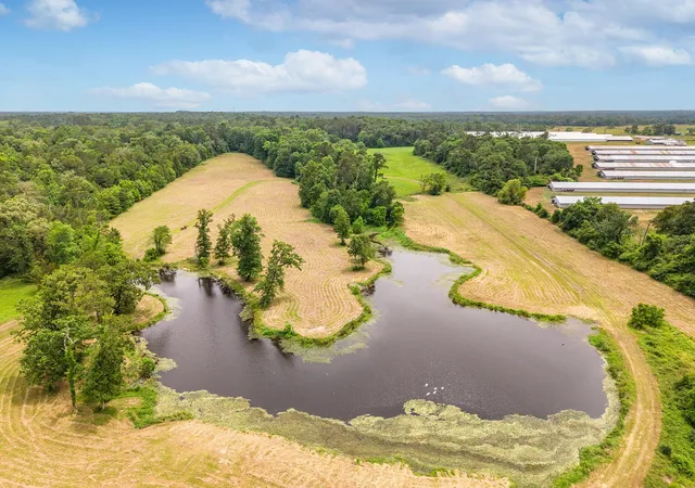 Photo 4 of Land for sale at 5740 Highway 103 E, Lufkin, TX 75901 | MLS# 77981447 | Listing updated on 2026-08-06