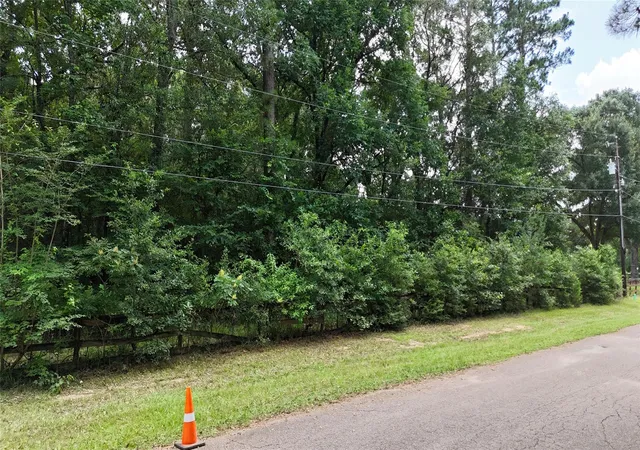 Photo 4 of Land for sale at 4011 Pamela Way, Montgomery, TX 77316 | MLS# 80152909 | Listing updated on 2026-09-14