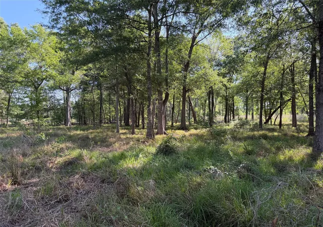 Photo 2 of Land for sale at 00 County Rd 2195, Cleveland, TX 77327 | MLS# 77411193 | Listing updated on 2026-08-08