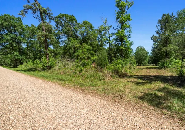 Photo 4 of Land for sale at 00 County Rd 2195, Cleveland, TX 77327 | MLS# 77411193 | Listing updated on 2026-08-08