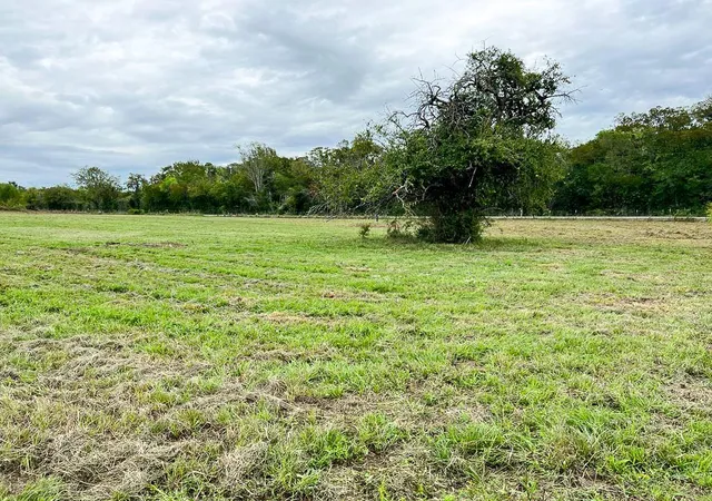 Homes for sale in Navasota, TX | Lot 4 Cr 319, Navasota, TX 77868 | MLS# 59346402
