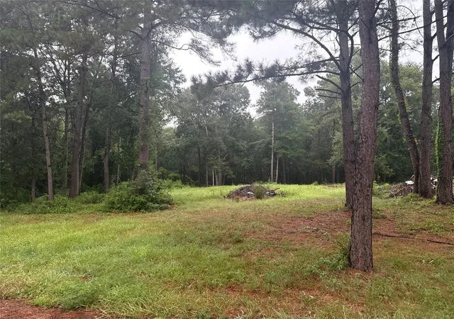 Photo 2 of Land for sale at 10570 Settlers Xing, Conroe, TX 77303 | MLS# 8246760 | Listing updated on 2026-09-07