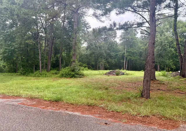 Photo 3 of Land for sale at 10570 Settlers Xing, Conroe, TX 77303 | MLS# 8246760 | Listing updated on 2026-09-07