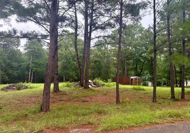 Photo 4 of Land for sale at 10570 Settlers Xing, Conroe, TX 77303 | MLS# 8246760 | Listing updated on 2026-09-07