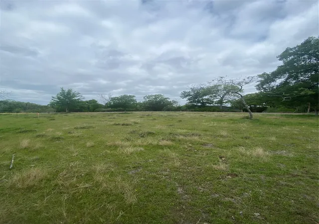 Photo 3 of Land for sale at 0 Ripple Creek Ln, Somerville, TX 77879 | MLS# 42356510 | Listing updated on 2026-08-21