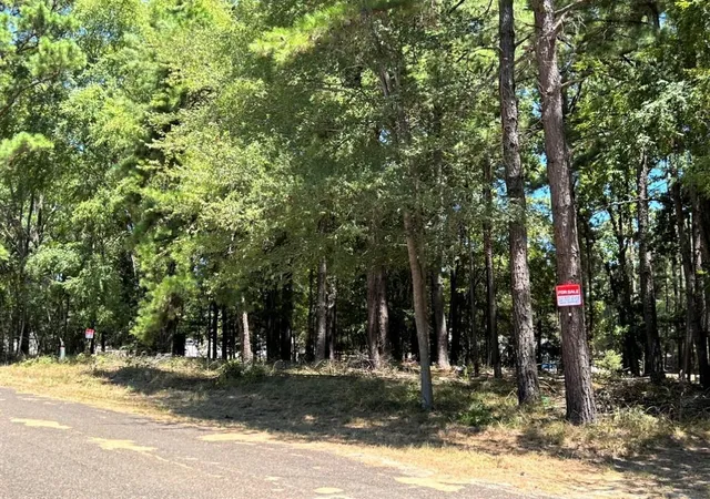 Photo 2 of Land for sale at 0 Willowick Ln, Livingston, TX 77351 | MLS# 94311238 | Listing updated on 2026-05-20