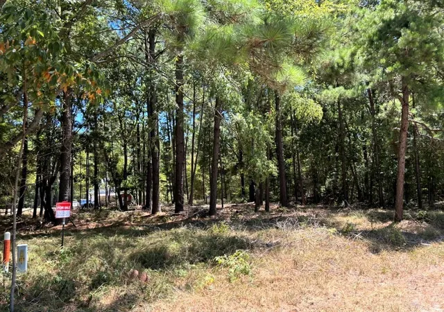 Photo 3 of Land for sale at 0 Willowick Ln, Livingston, TX 77351 | MLS# 94311238 | Listing updated on 2026-05-20