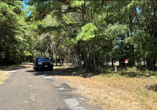 Photo 3 of Land for sale at 0 Willowick Ln, Livingston, TX 77351 | MLS# 94311238 | Listing updated on 2026-05-20