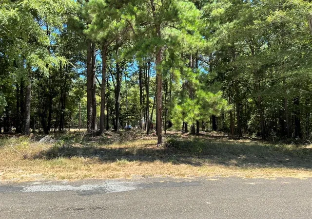 Photo 4 of Land for sale at 0 Willowick Ln, Livingston, TX 77351 | MLS# 94311238 | Listing updated on 2026-05-20