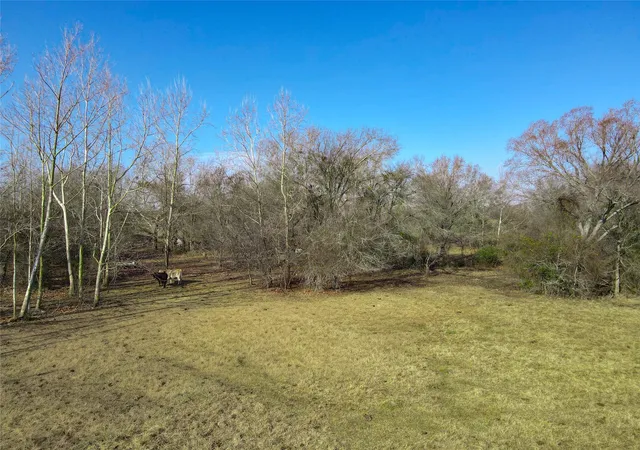 9th image of 0 S Fm 46, Franklin, TX 77856 | MLS# 51411864