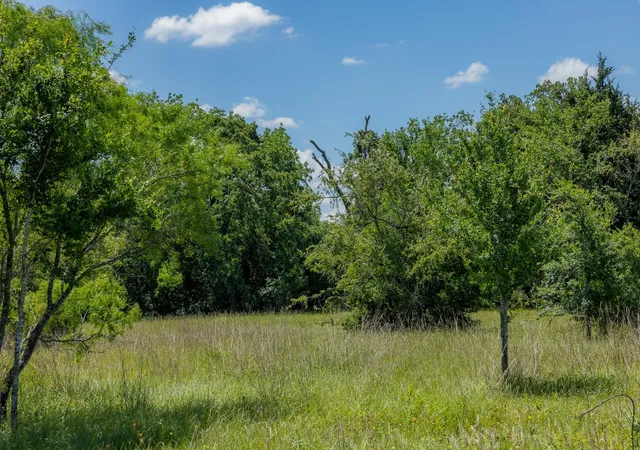 Homes for sale in Bedias, TX | 6558 Atakapan Trail, Bedias, TX 77831 | MLS# 63634532
