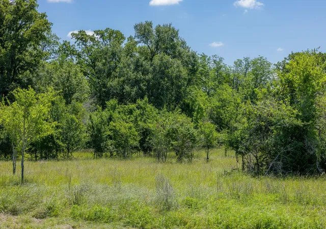Homes for sale in Bedias, TX | 6558 Atakapan Trail, Bedias, TX 77831 | MLS# 63634532