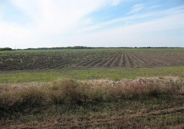Homes for sale in Damon, TX | 28002 Hwy 36 At County Road 21 Hwy, Damon, TX 77430 | MLS# 53593922