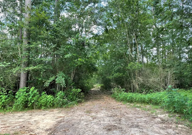 Photo 2 of Land for sale at Tbd Greenfield Dr, Montgomery, TX 77303 | MLS# 49516318 | Listing updated on 2026-08-31