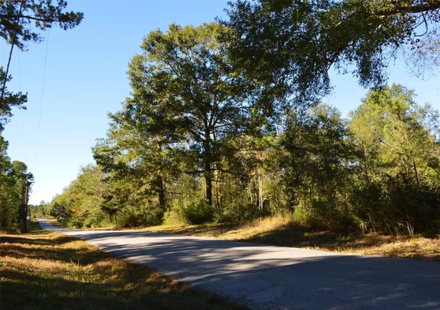 Photo 1 of Land for sale at 0010 County Rd 302, Plantersville, TX 77363 | MLS# 83286532 | Listing updated on 2025-12-22