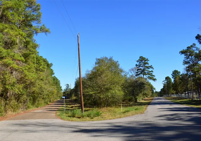 Photo 28 of Land for sale at 0010 County Rd 302, Plantersville, TX 77363 | MLS# 83286532 | Listing updated on 2025-12-22