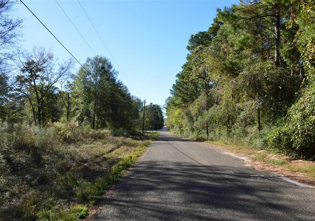 Photo 2 of Land for sale at 0010 County Rd 302, Plantersville, TX 77363 | MLS# 83286532 | Listing updated on 2025-12-22