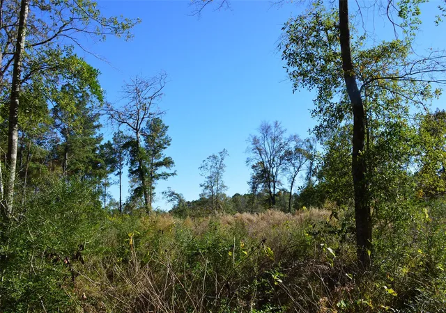 Photo 2 of Land for sale at 0010 County Rd 302, Plantersville, TX 77363 | MLS# 83286532 | Listing updated on 2025-12-22