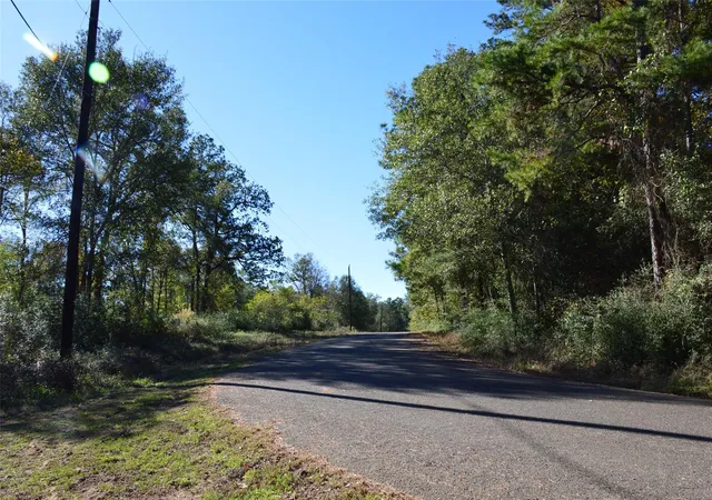 Photo 3 of Land for sale at 0010 County Rd 302, Plantersville, TX 77363 | MLS# 83286532 | Listing updated on 2025-12-22