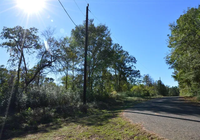 Photo 4 of Land for sale at 0010 County Rd 302, Plantersville, TX 77363 | MLS# 83286532 | Listing updated on 2025-12-22