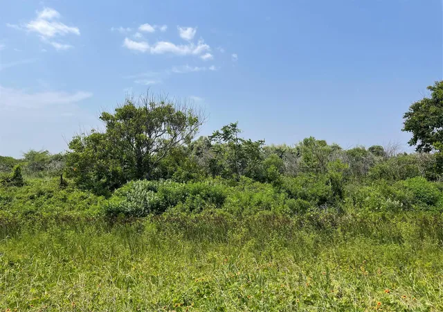 Photo 2 of Land for sale at 672 Hwy 87, Gilchrist, TX 77617 | MLS# 65826010 | Listing updated on 2026-09-06