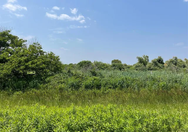 Photo 3 of Land for sale at 672 Hwy 87, Gilchrist, TX 77617 | MLS# 65826010 | Listing updated on 2026-09-06