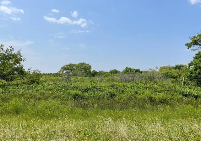 Photo 3 of Land for sale at 672 Hwy 87, Gilchrist, TX 77617 | MLS# 65826010 | Listing updated on 2026-09-06