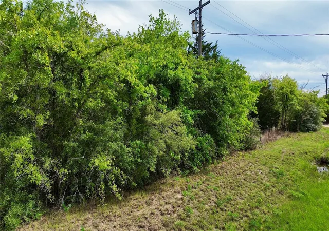 Photo 4 of Land for sale at Tbd Tract 2 Fm 180, Ledbetter, TX 78946 | MLS# 52082806 | Listing updated on 2026-09-09
