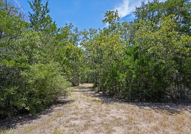 Photo 4 of Land for sale at 3750 Fm 2237, Muldoon, TX 78949 | MLS# 20764600 | Listing updated on 2026-08-24