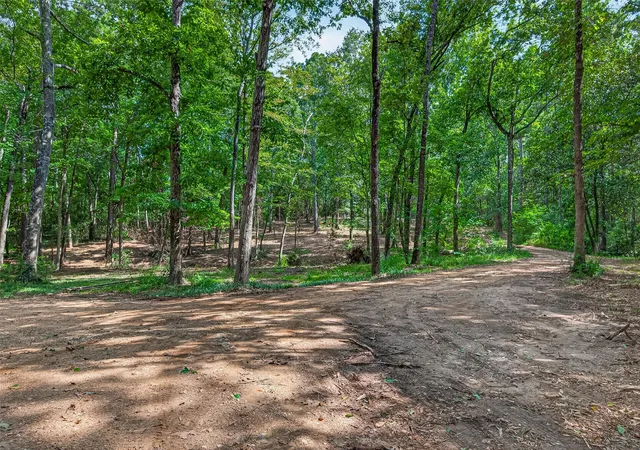 2nd image of 13870 Coaltown Rd, Willis, TX 77378 | MLS# 29125873
