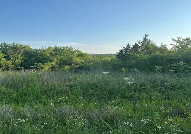 2nd image of Tbd Donahoe Rd, Coldspring, TX 77331 | MLS# 73888397