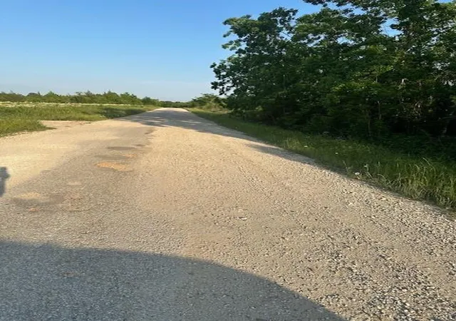 6th image of Tbd Donahoe Rd, Coldspring, TX 77331 | MLS# 73888397