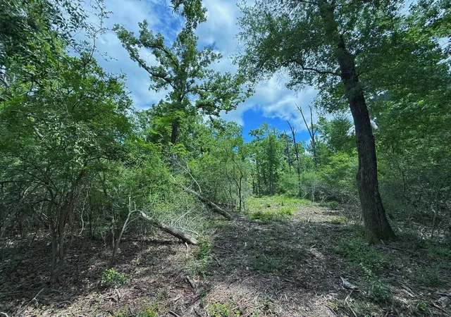 Homes for sale in Oakwood, TX | Tbd Cr 295, Oakwood, TX 75855 | MLS# 88694344