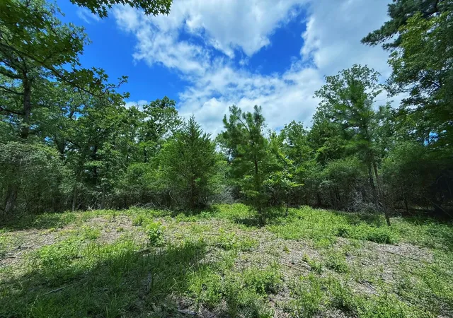 Homes for sale in Oakwood, TX | Tbd Cr 295, Oakwood, TX 75855 | MLS# 88694344