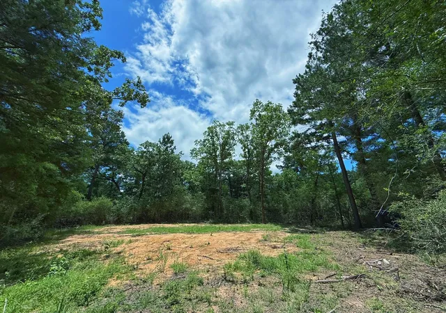 Homes for sale in Oakwood, TX | Tbd Cr 295, Oakwood, TX 75855 | MLS# 88694344