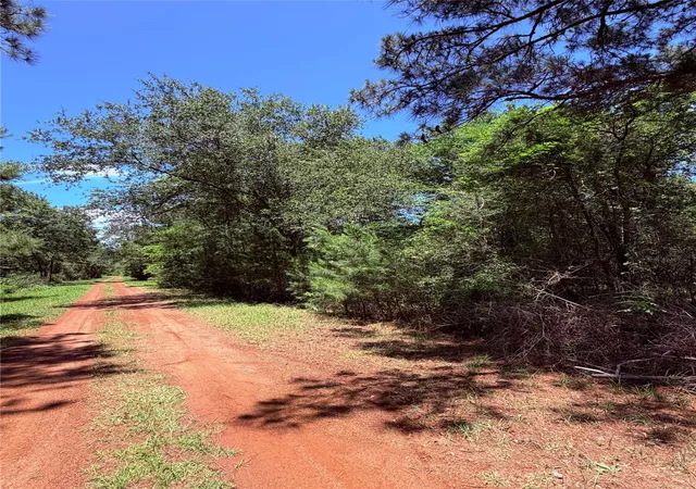 Homes for sale in Hempstead, TX | Tbd Lot 7 Lakeshore Dr, Hempstead, TX 77445 | MLS# 11721948