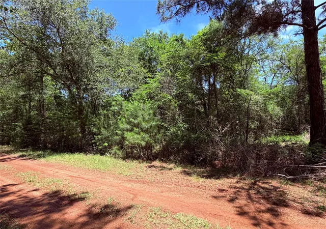 Homes for sale in Hempstead, TX | Tbd Lot 7 Lakeshore Dr, Hempstead, TX 77445 | MLS# 11721948