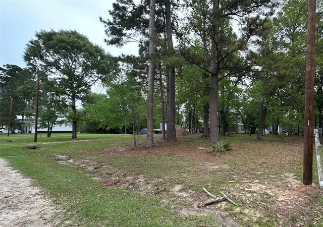 Homes for sale in Trinity, TX | 180 Holly Trl, Trinity, TX 75862 | MLS# 84805833