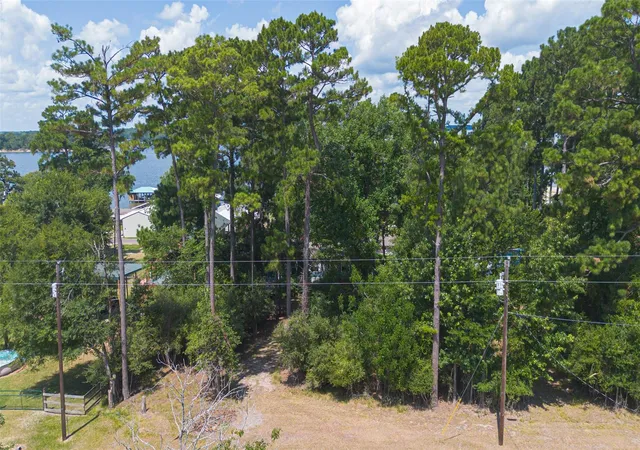 Homes for sale in Trinity, TX | 180 Holly Trl, Trinity, TX 75862 | MLS# 84805833